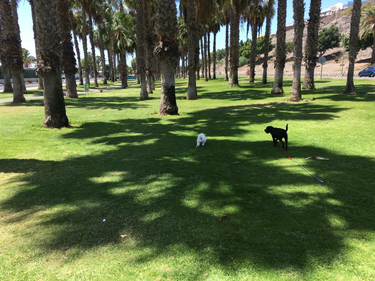 Appartamento La Gema del Sur Maspalomas  Esterno foto