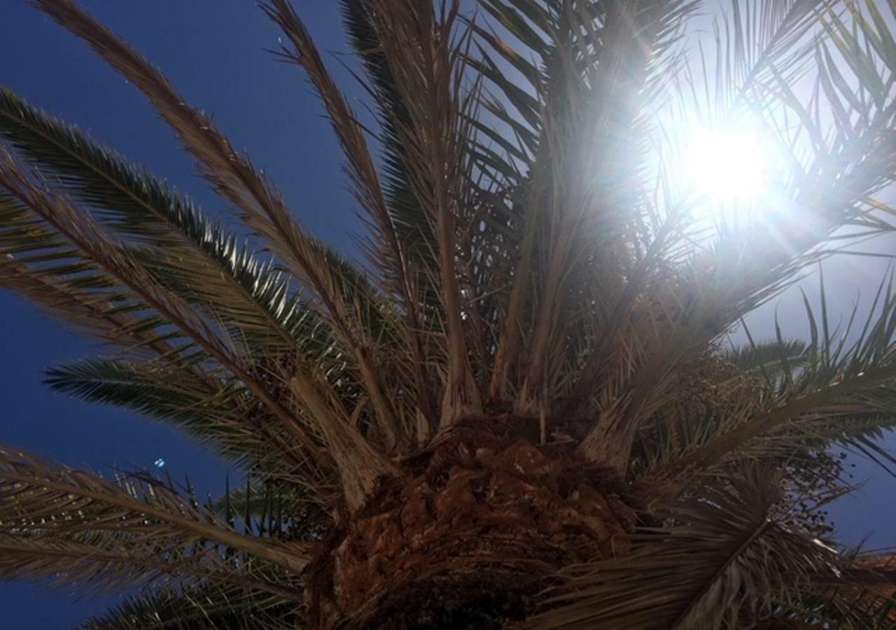 Appartamento La Gema del Sur Maspalomas  Esterno foto
